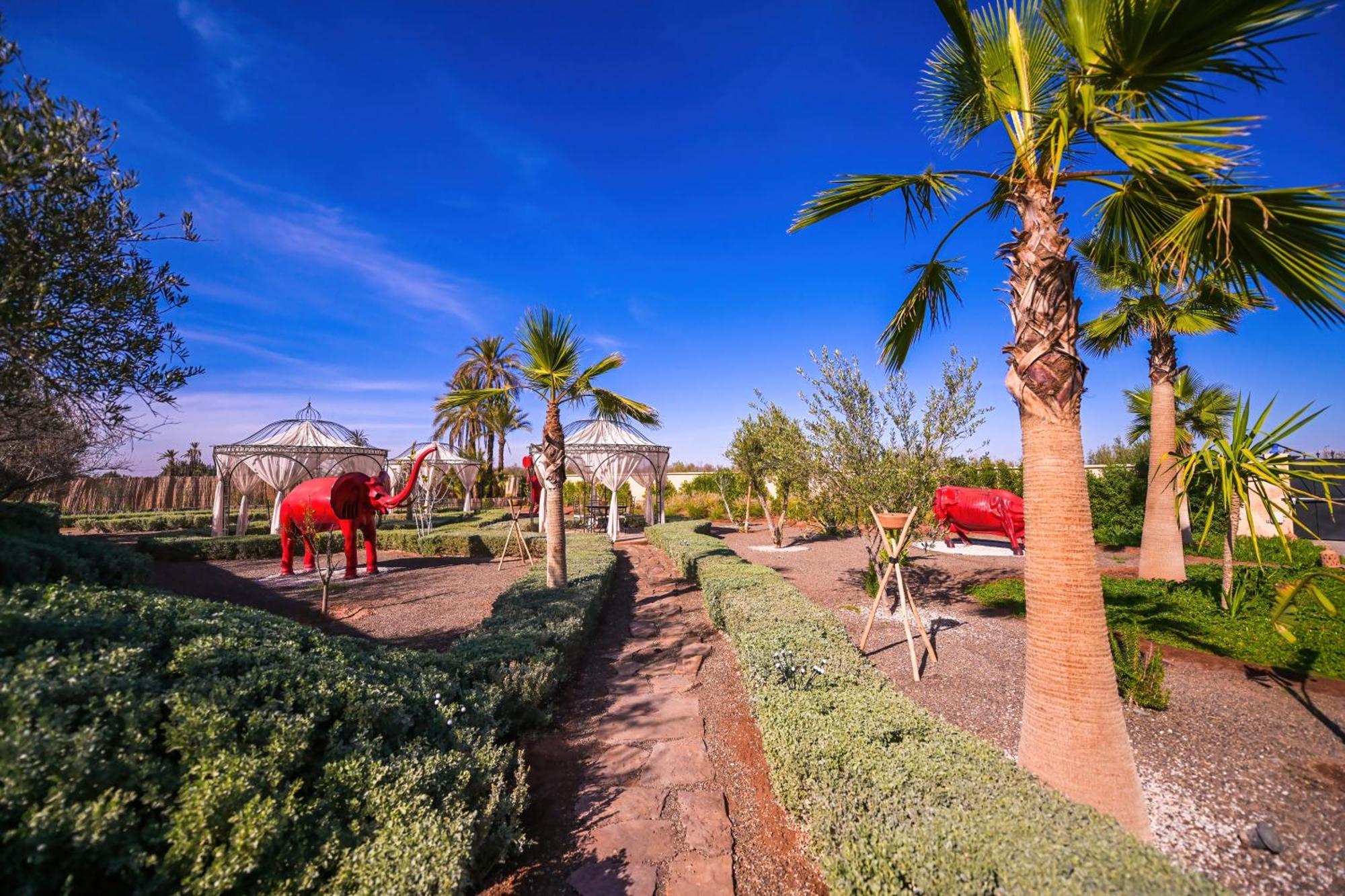 Maison Daouia Ouled Jelal 外观 照片